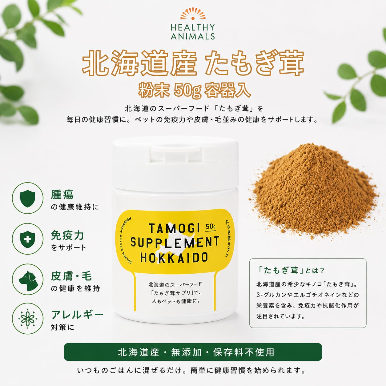 【保存に便利な容器入り】北海道産 たもぎ茸濃縮エキス粉末タイプ)50g|β-グルカン配合・免疫サポート・無添加・無着色