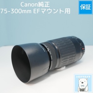 Canon純正 75-300mm EFマウント用 望遠レンズ a6394