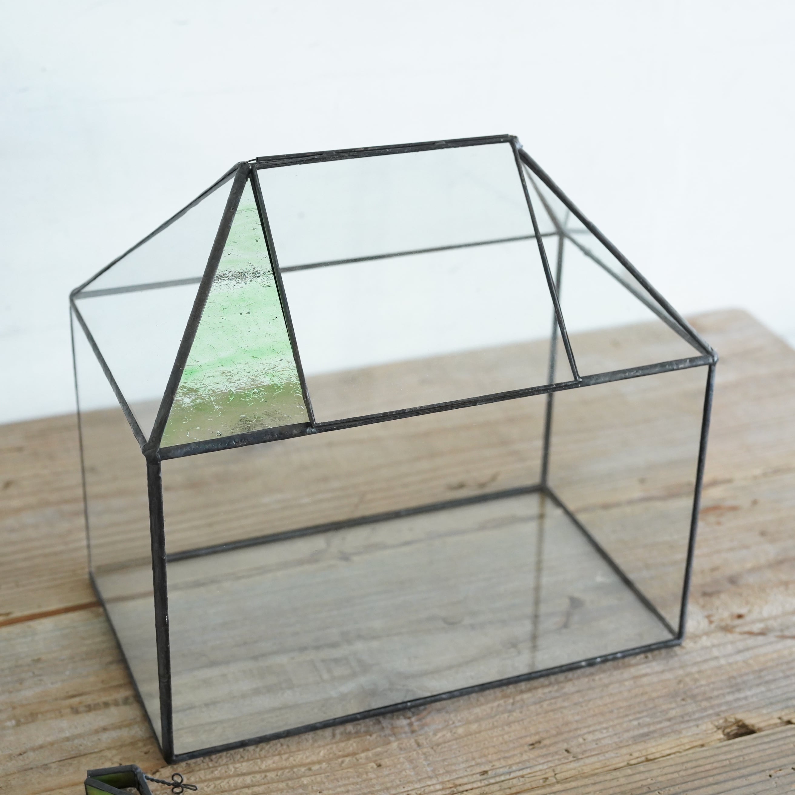 【数量限定10台】復刻・ワーディアンケースー19世紀貴族が愛した小さな温室