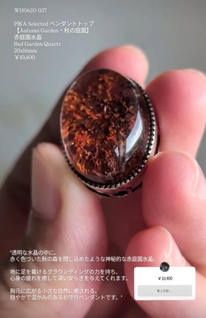 ⭔ お客様専用ページ ✦ pass.10.5