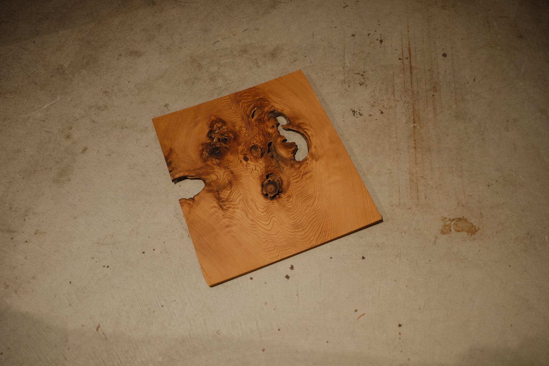 Wood objects オブジェ -樹齢900年、7度の雷に撃たれた天杉