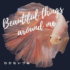 わかないづみ「Beautiful things around me」（プロトタイプCD-R）