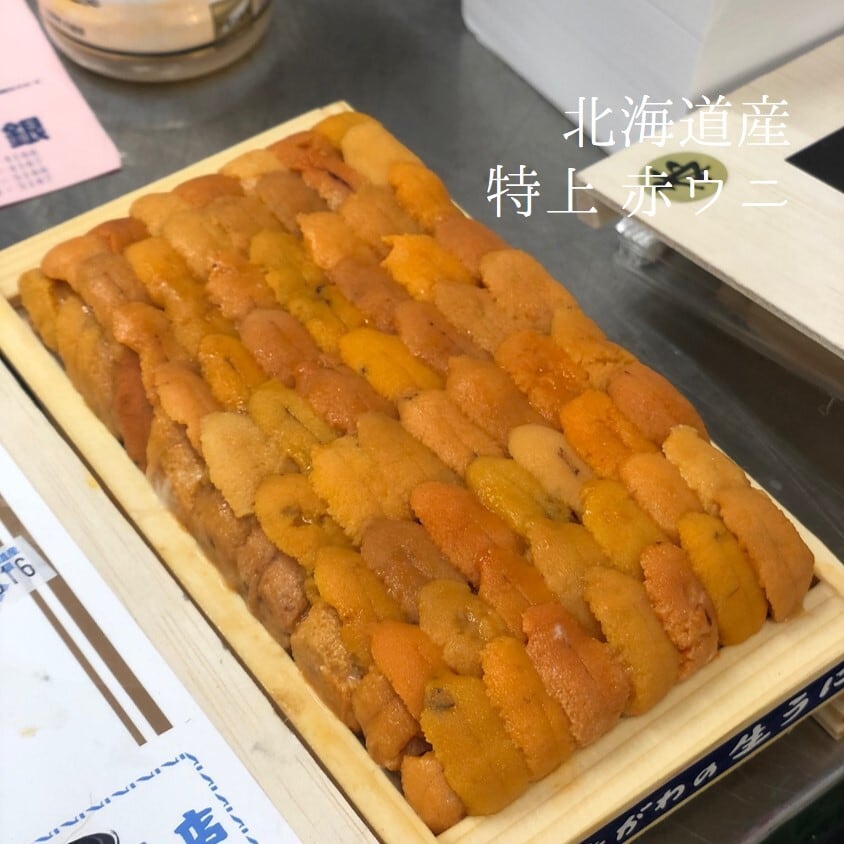 上 ウニ 並び 北方四島・北海道産 バフンウニ 赤ウニ 約300g 大箱【上赤ウニ大箱x1】冷蔵