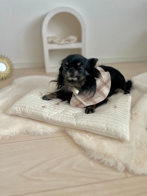 予約【pecoramou original】brown check bib