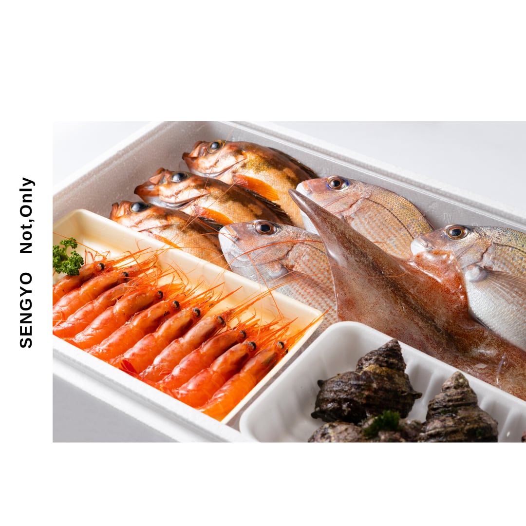 新鮮・能登の朝どれ鮮魚セット 4～5人前セット | Not,only ノットオンリー powered by BASE