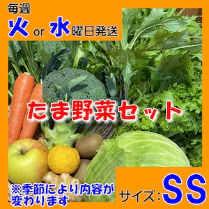 定期便【たま野菜セット　SSサイズ】毎週火～水曜日発送【送料無料(クール便)】