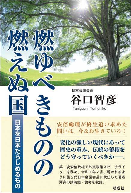 燃ゆべきものの燃えぬ国―日本を日本たらしめるもの