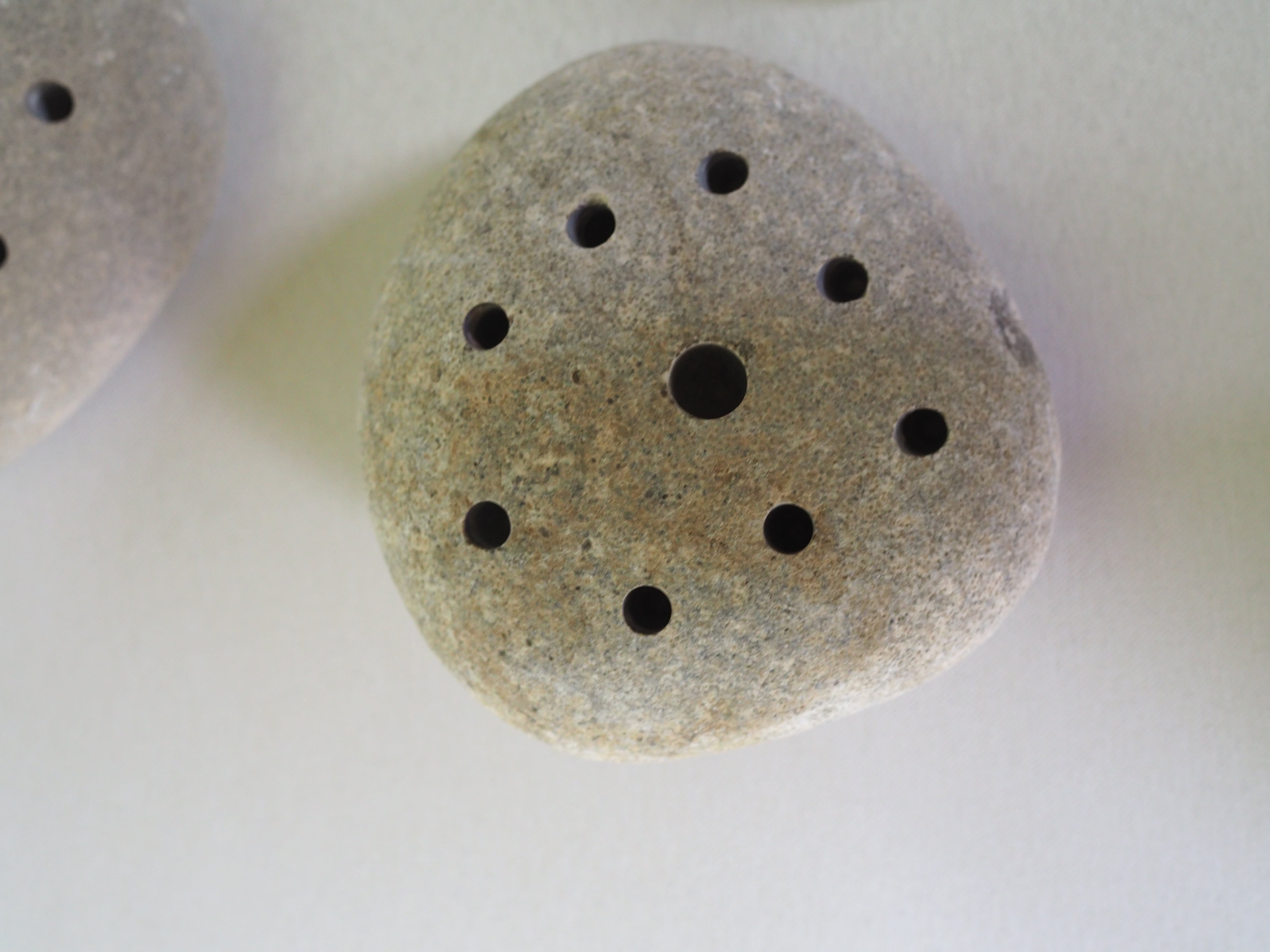 水石山産 剣山石 水石 盆石 鑑賞石 天然石 自然石 剣山 インテリア 置物 FROG STONE(石の剣山) | 花屋ぼたん