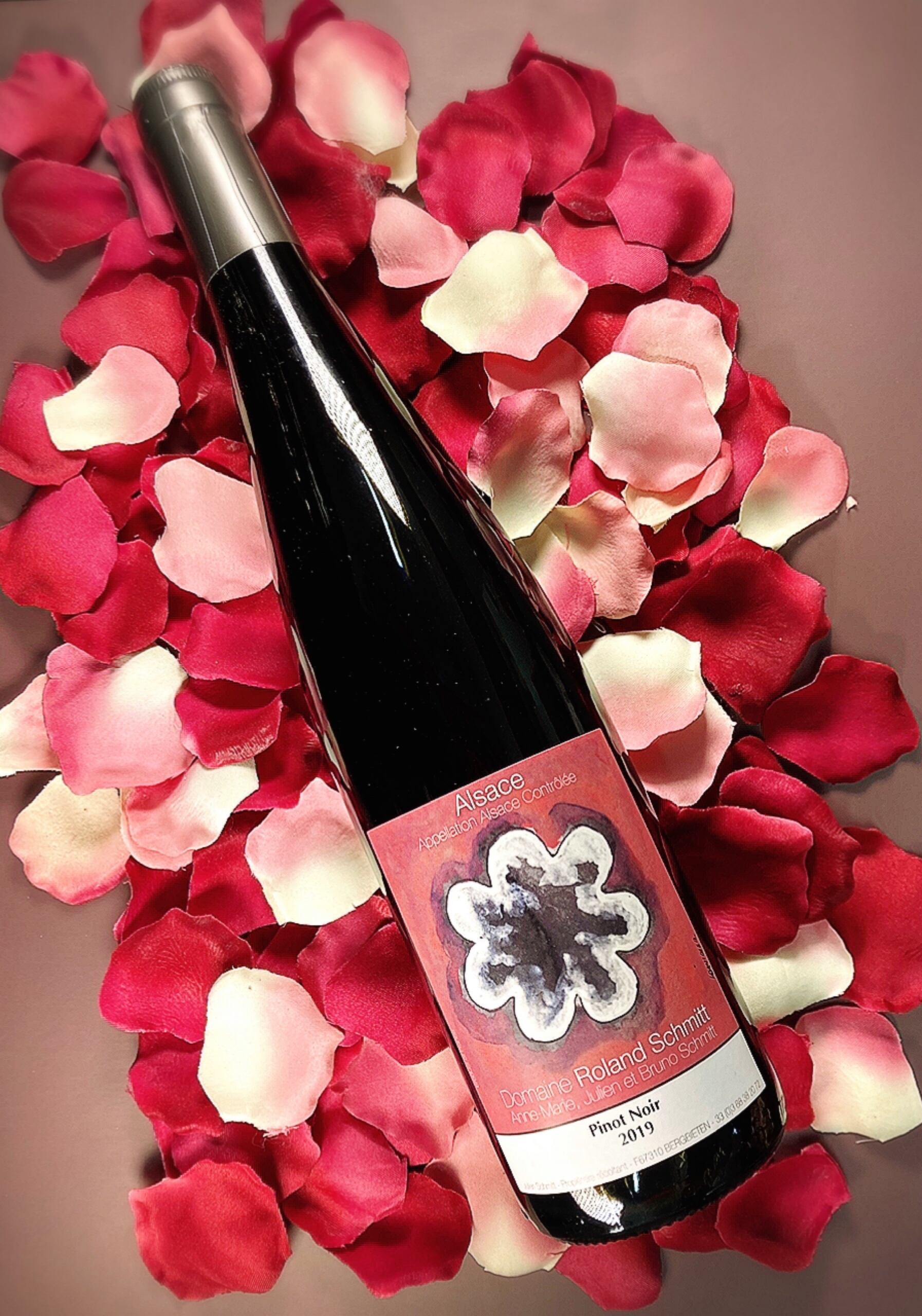 赤ワイン | Wine and Weekend 