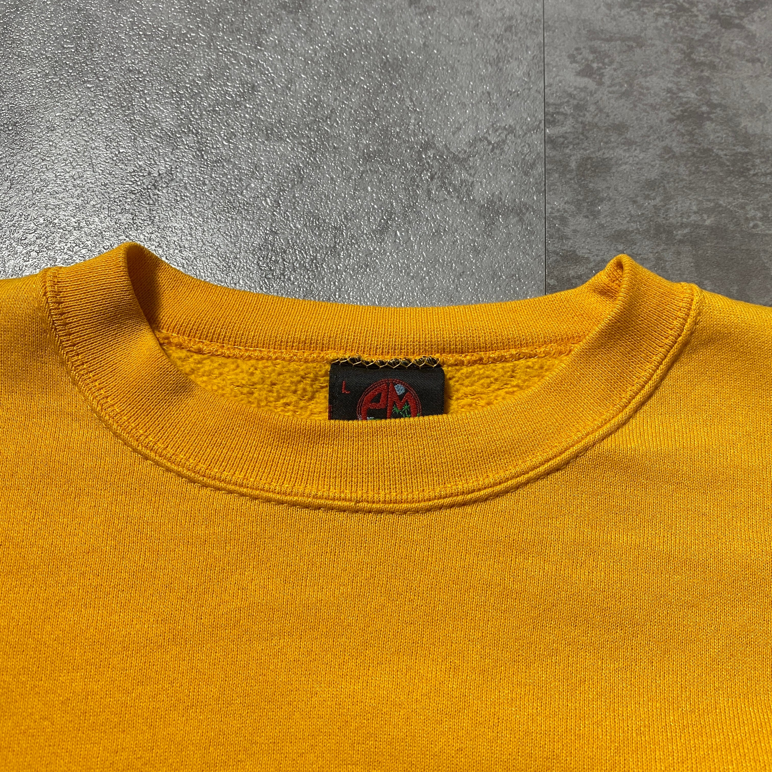 USA製】90's SPORTS COLORADO STATE コロラド大学 カレッジ プリント