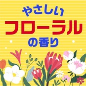アース シラミとりシャンプー アース シラミとり シラミ・ダニ退治スプレー 250ml 布団 枕 帽子 シラミ ダニ対策 シラミ取り シラミ駆除