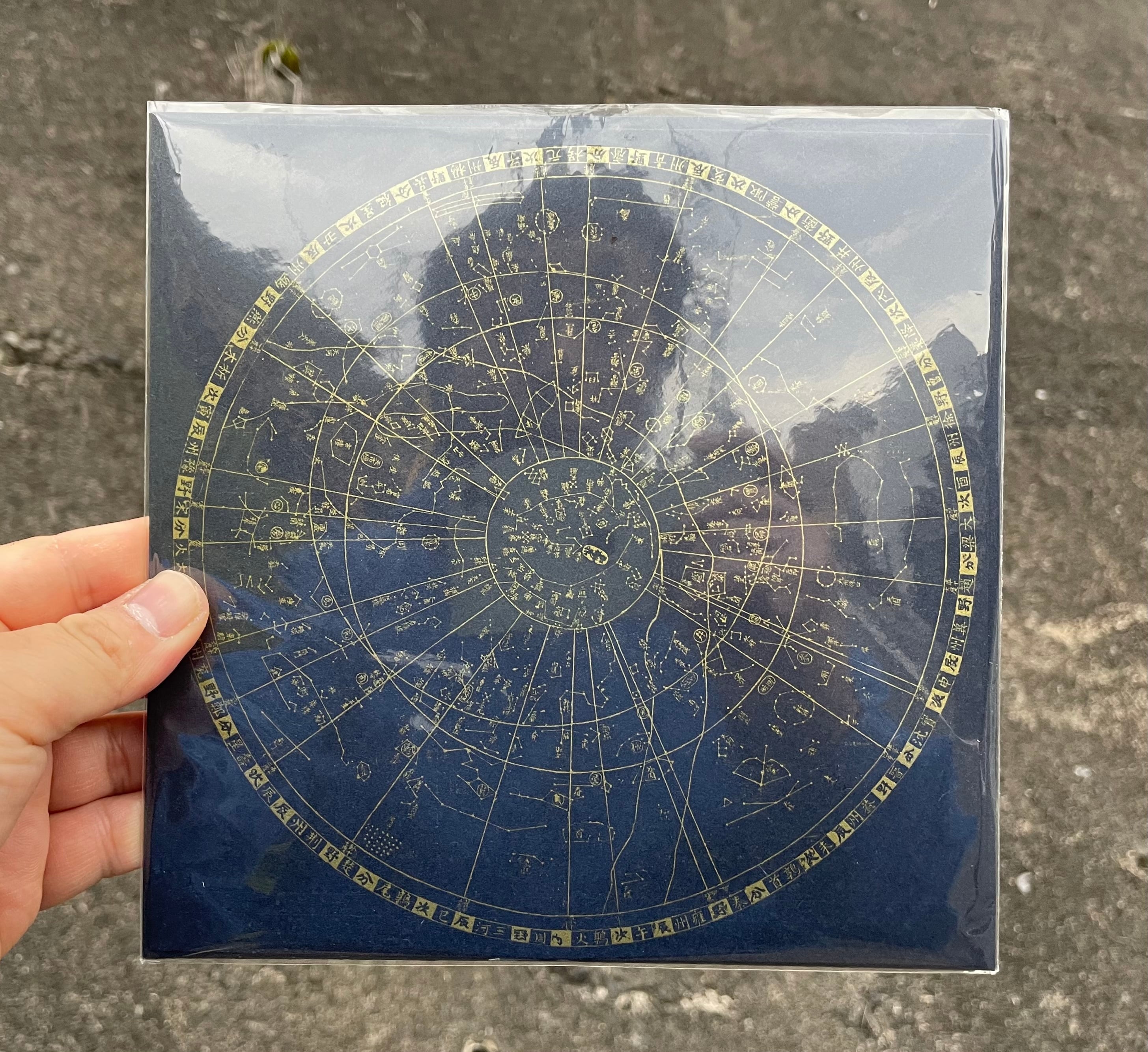 NICE VIEW″崖っぷちGIG!!″(CD) | catnoise