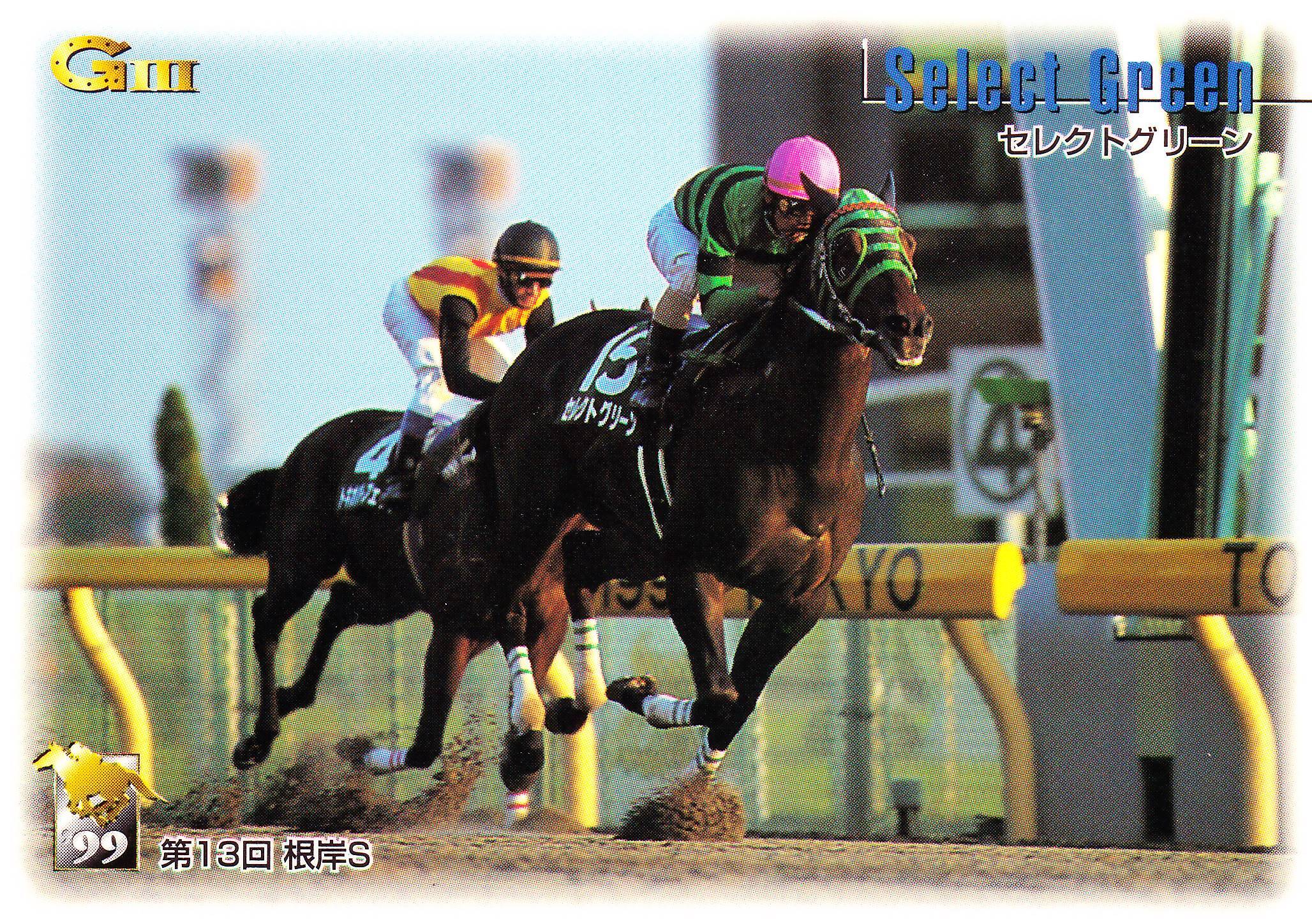 東ハト　競馬カード　テイエムオペラオーのフォルダ　カード200枚以上 東ハト 競馬カード テイエムオペラオーのフォルダ カード200枚以上