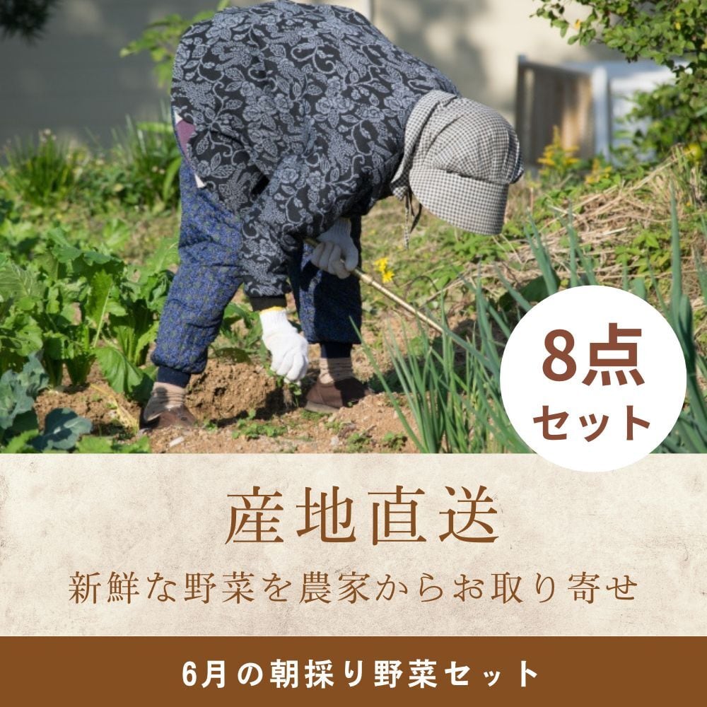 土曜発送◇朝採り新鮮野菜セット 8点 6月 近隣農家直送の旬をお届け