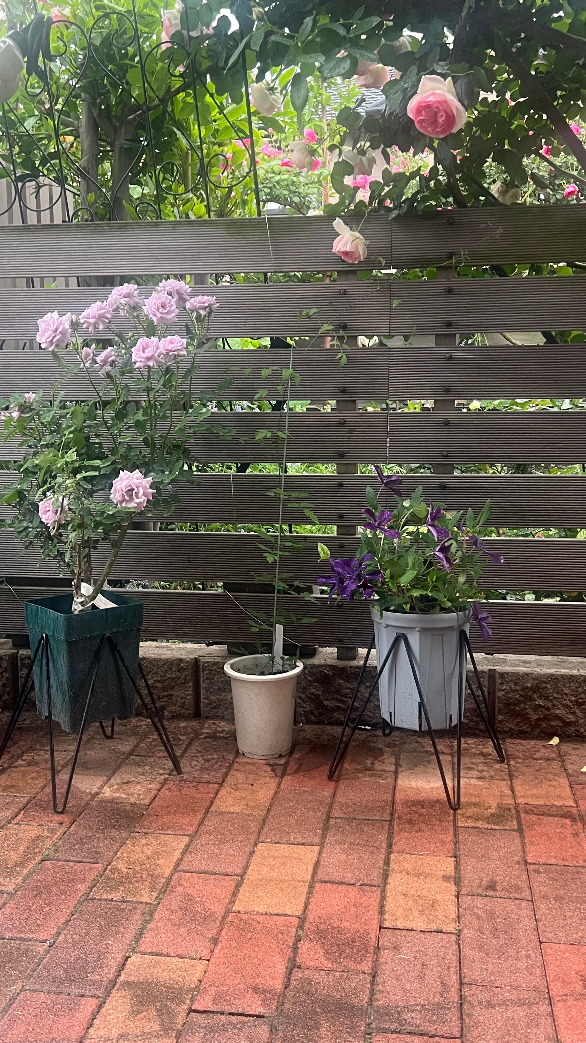 ◇MSS-8 マジックスクエアスタンド | bellsmoreのひとはこ。