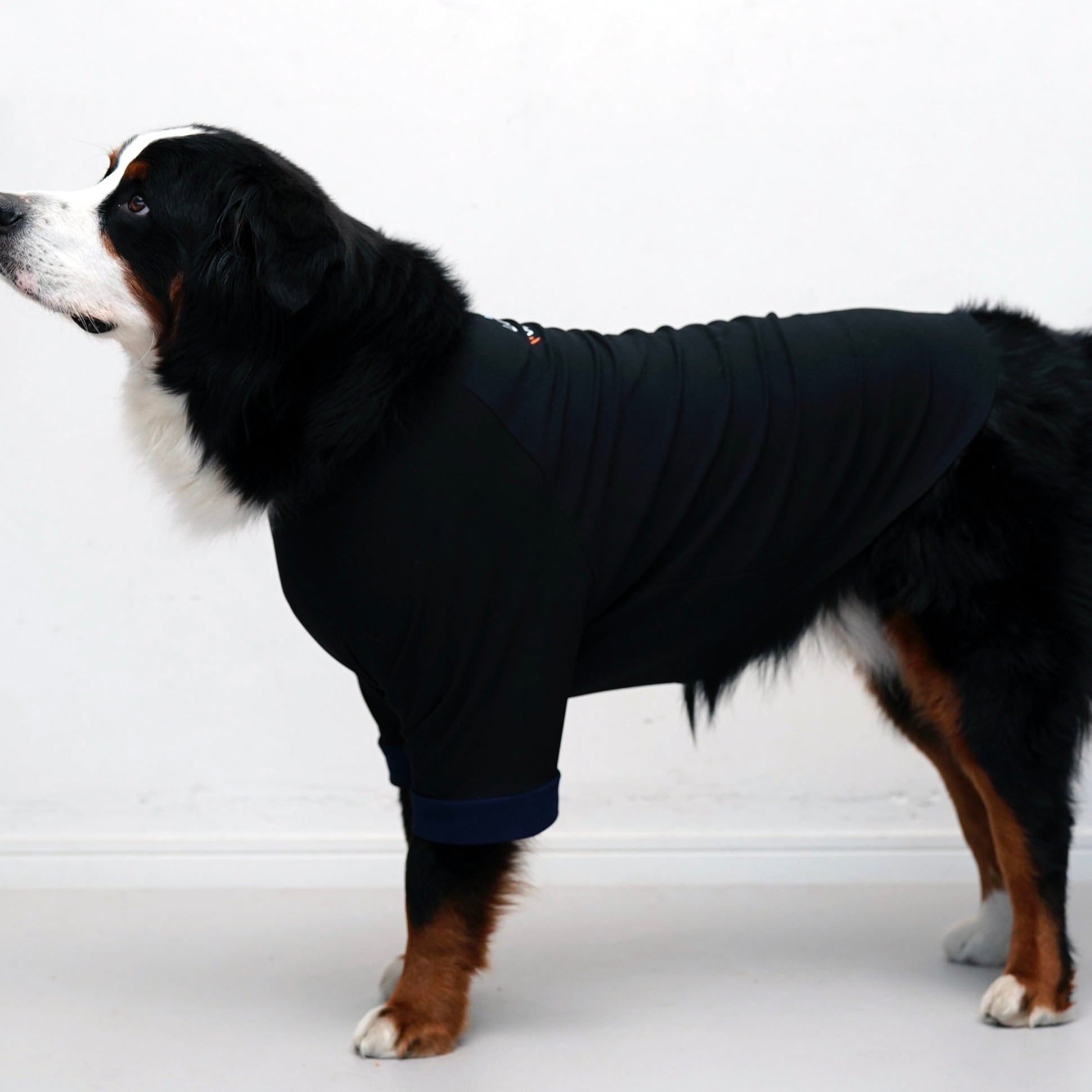 リカバリーDOGウエア LAUW × VENEX XLsize | LAUW（ラウー）