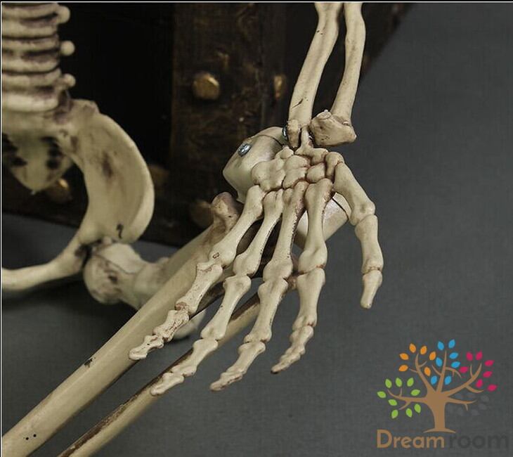 超リアル！機能性◎動く関節！ 等身大骸骨 90cm 子供 ディスプレイ
