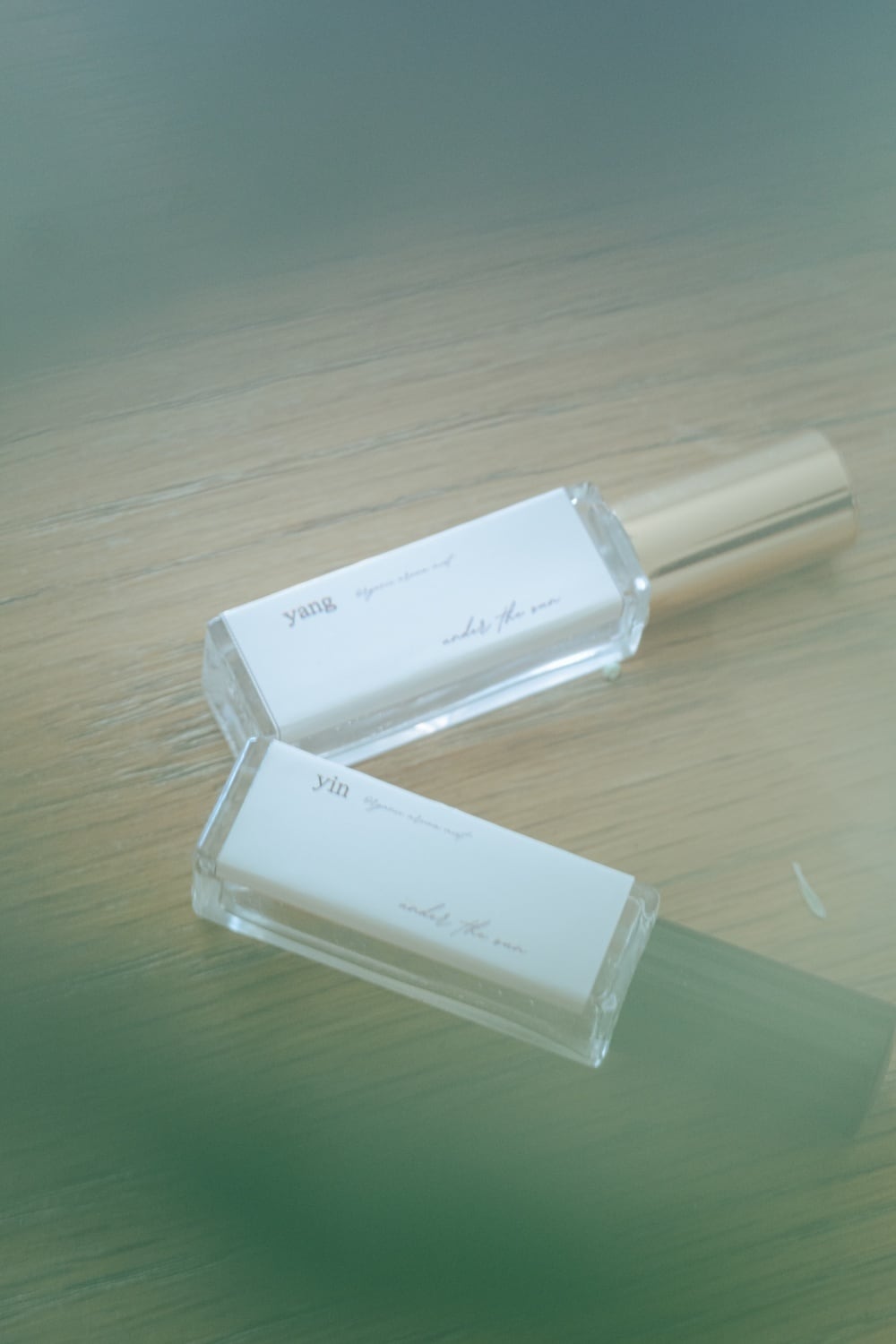 USB版110回〜97回薬剤師国家試験 ゴロ解答解説をオレンジペンで記入