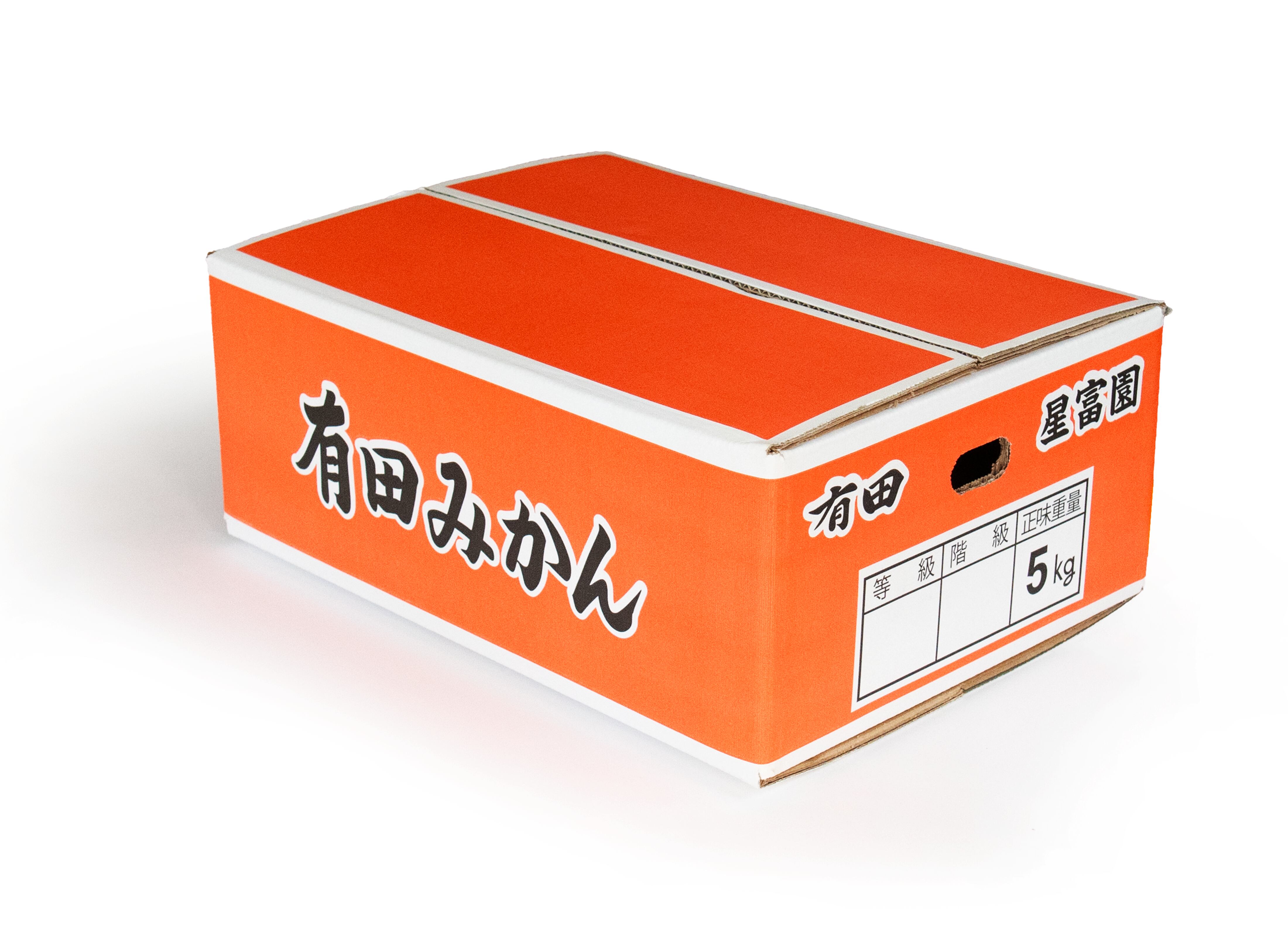 ゆ様　5Kg 小粒サイズ　2箱 早生みかん5kg 和歌山有田産【受付終了・ありがとうございました