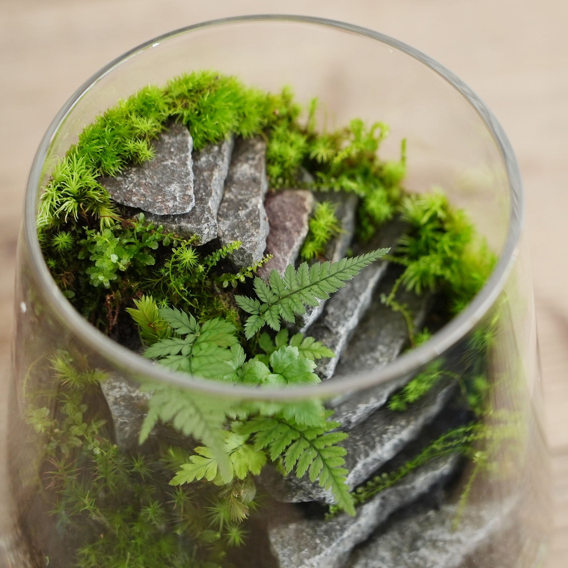 苔流(たいりゅう) 苔テラリウム 鉱石レイアウト人気3種セット ラピスラズリ グリーン