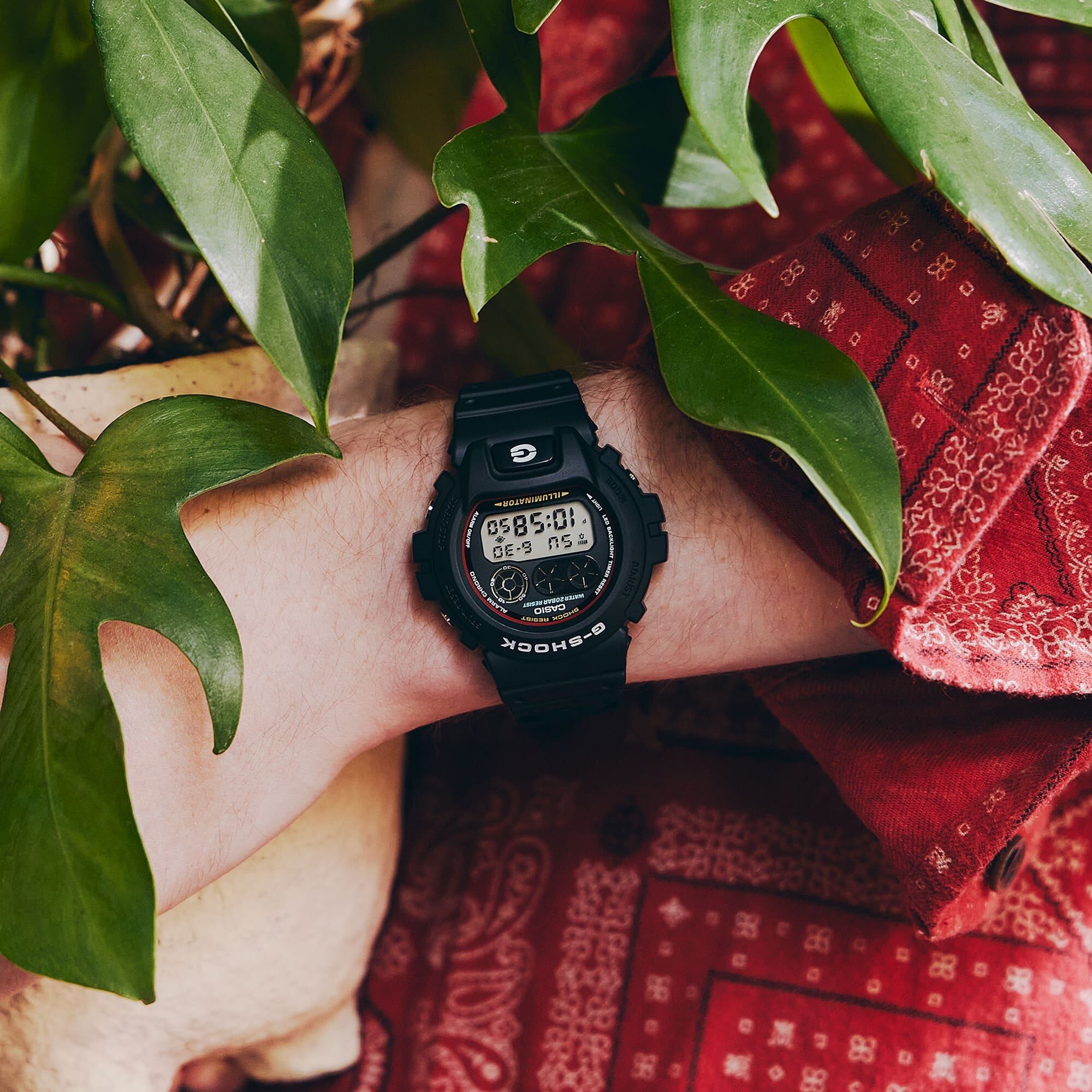 DW-6900RL-1JF | Timepedia