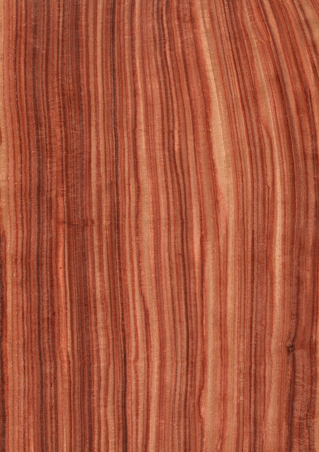 天然木ツキ板シート　ブビンガ　赤色系