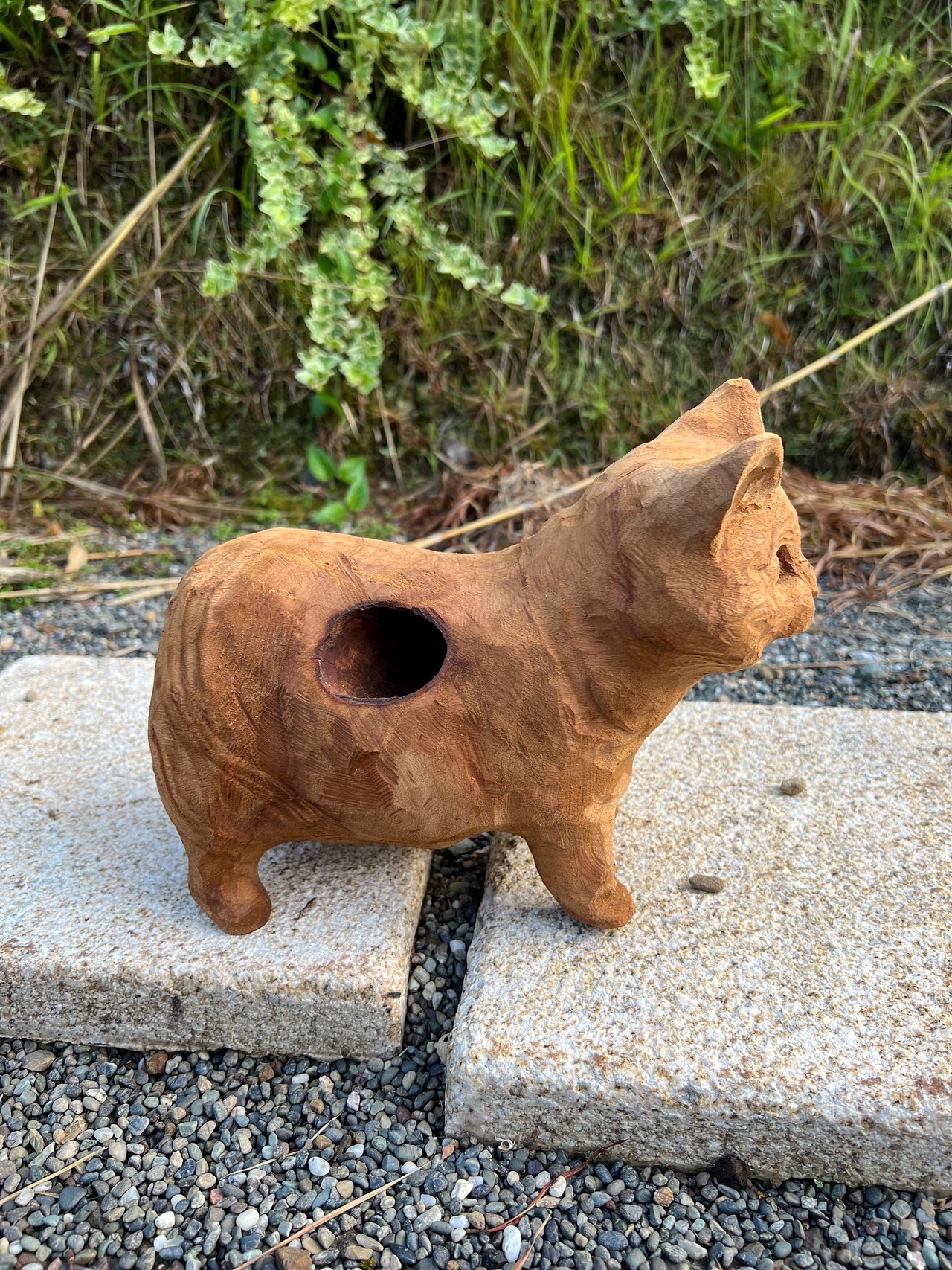 猫のヒゲ集め