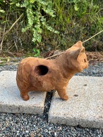 猫のヒゲ集め