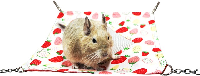 【小動物用品】ミニメッシュハンモック　いちご　ホワイト/ブルー