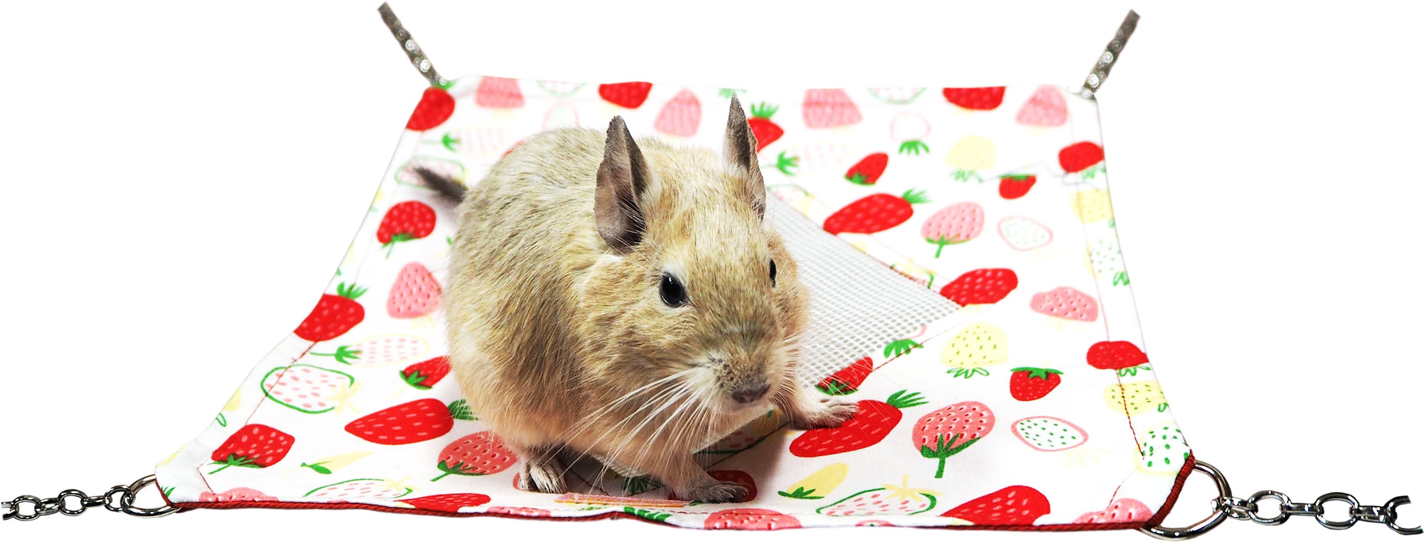 【小動物用品】ミニメッシュハンモック いちご ホワイト/ブルー