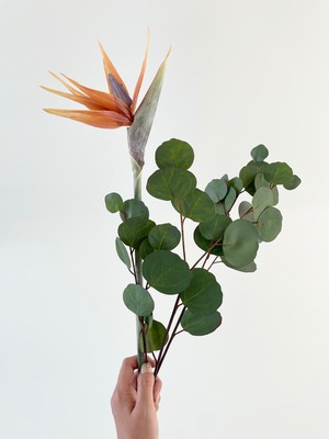 Flower edit 001