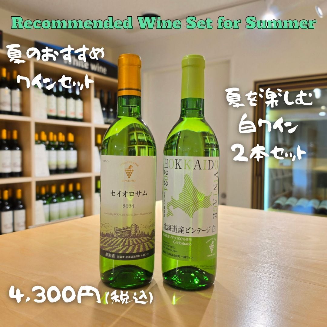 【夏のおすすめワインセット】夏を楽しむ白ワイン2本セット