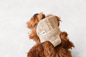 【ours,】summer rattan cap サンキャップ 韓国ブランド 犬 帽子 バッグ ペット お散歩 夏 ラタン素材