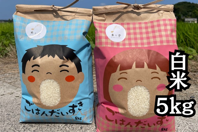 【送料無料 一部地域除く】新米令和7年産 1等米｜白米 5kg　静岡県産コシヒカリ