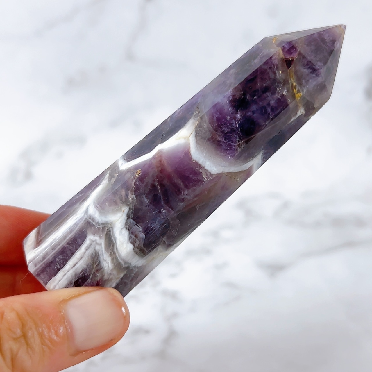 ドリームアメジストタワーB(シェブロンアメジスト・ケープアメジスト)