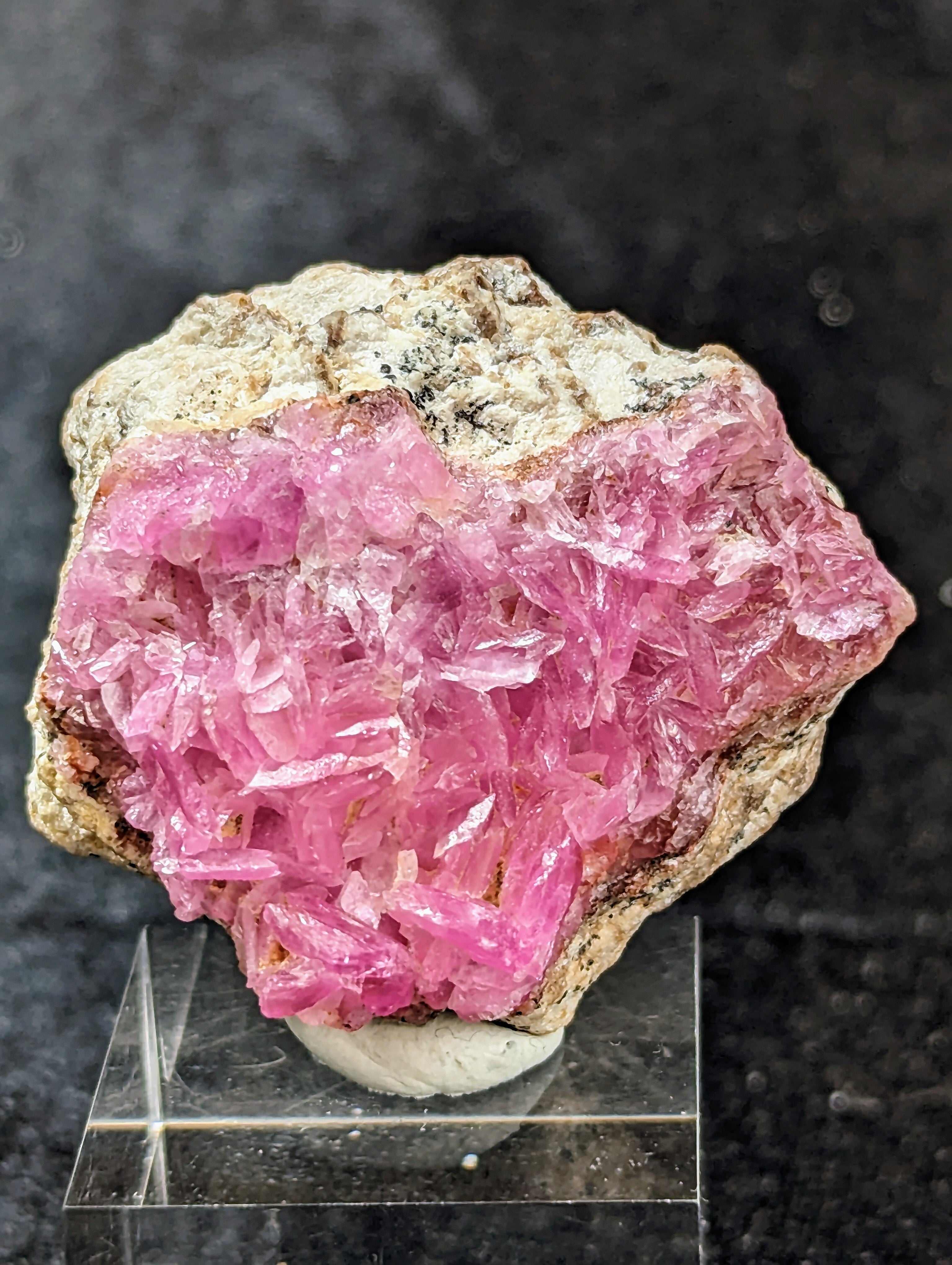 コバルト様専用 MDKさま専用○コバルトスライドカットシザー○V金10号