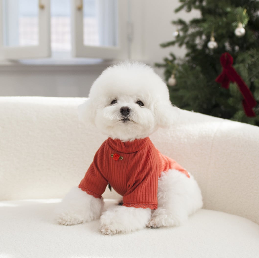 予約【cocochien】Sophie (Coral Pink)