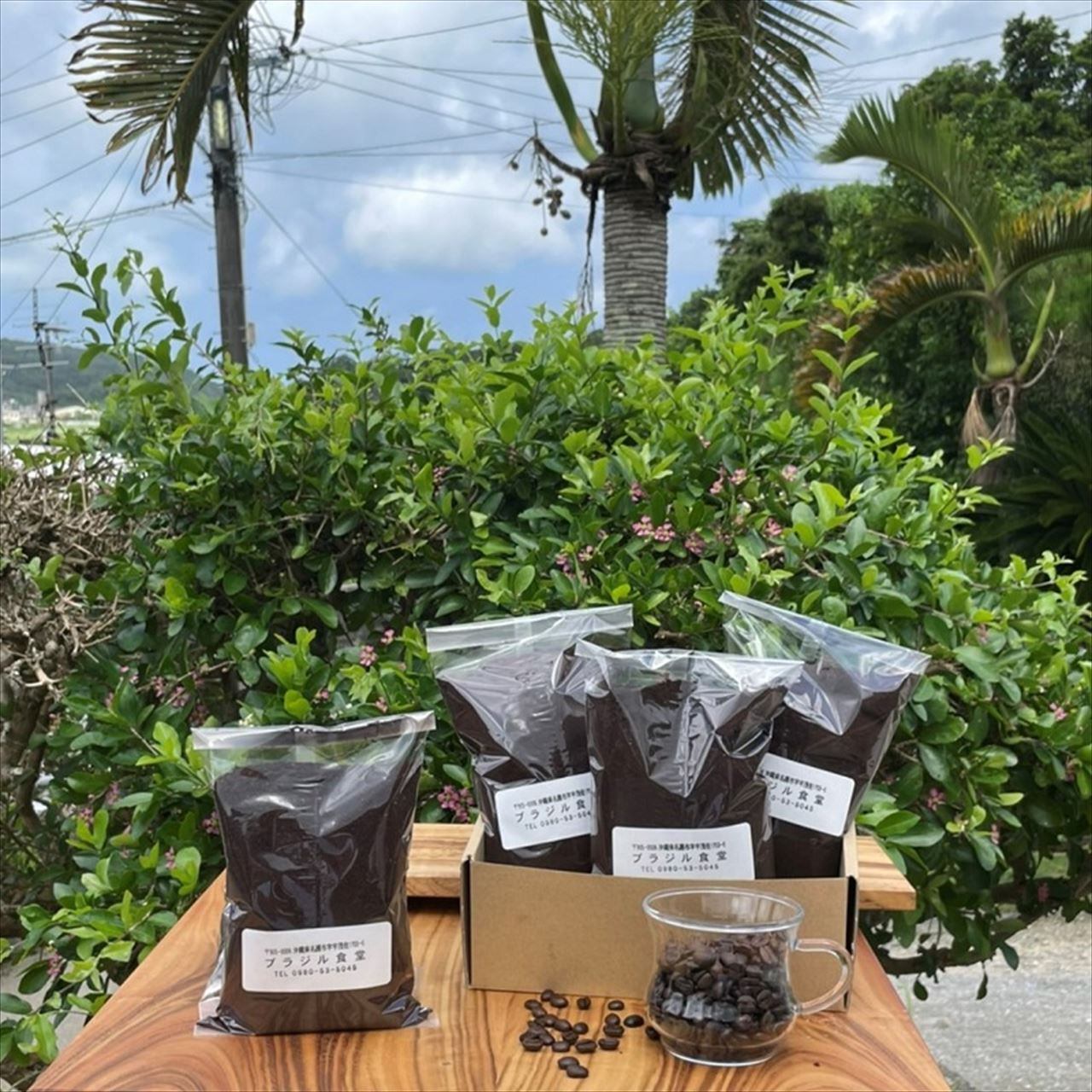 豆 1.2kg ブラジル産コーヒー | ブラジル食堂