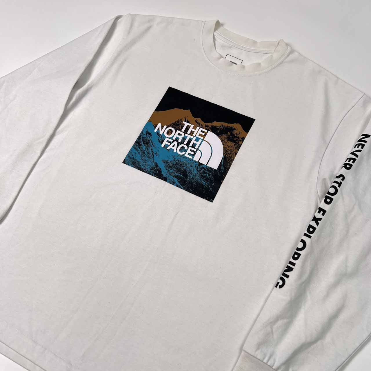 THE NORTH FACE ノースフェイス ロゴプリント 袖プリント 長袖Tシャツ カットソー サイズ M /メンズ/ホワイト