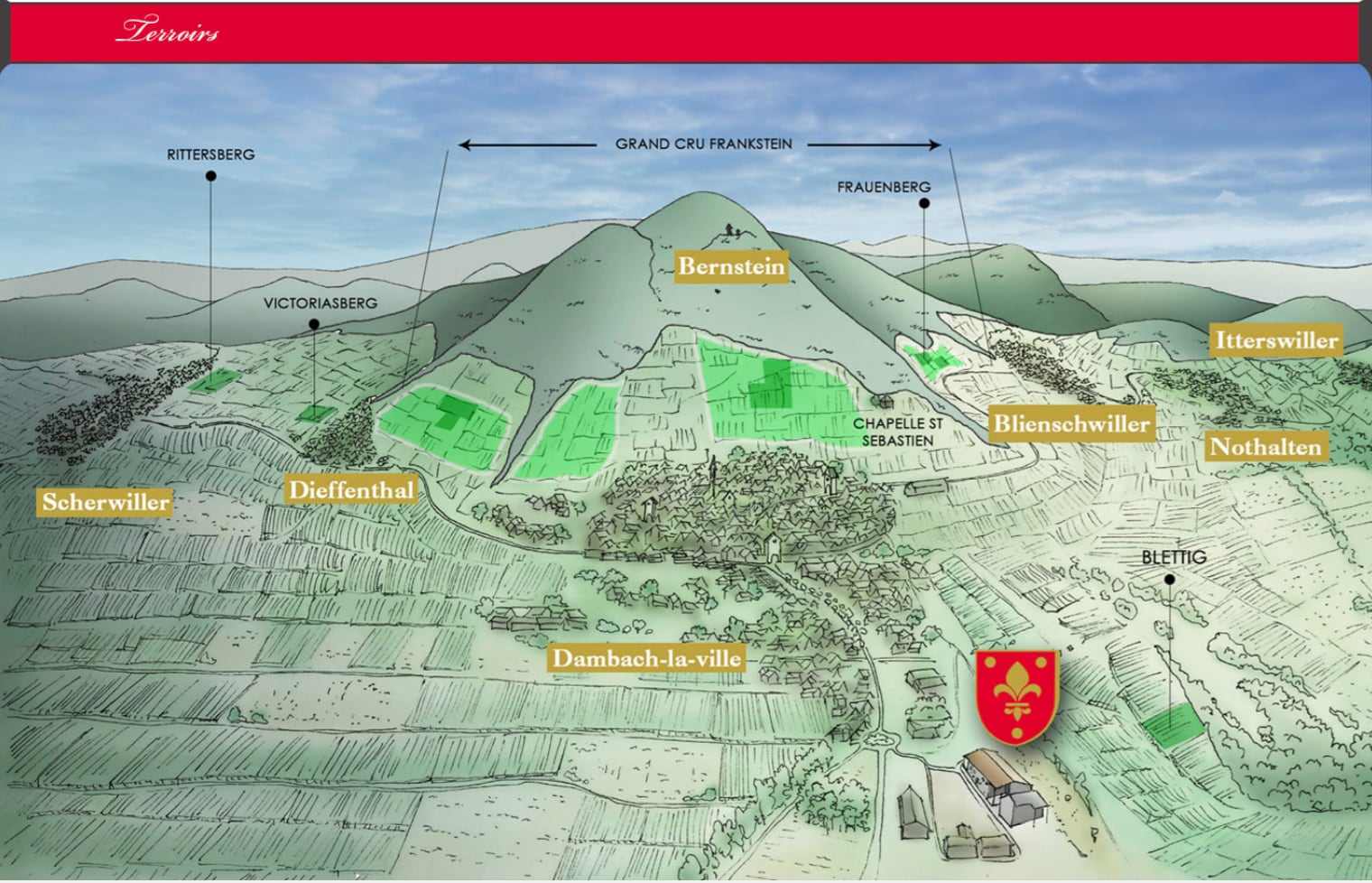 【シャルル・フレイ】リースリング・グラニ 2021
