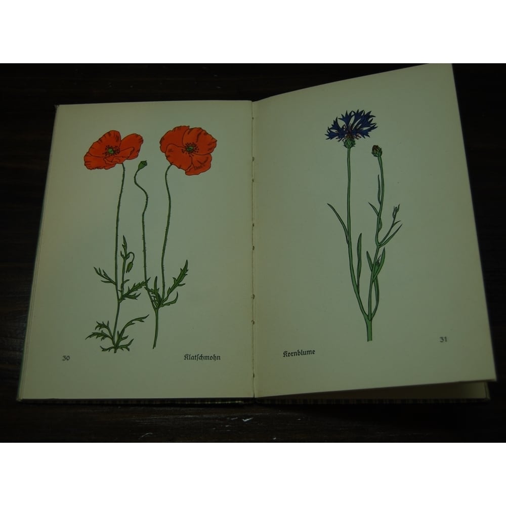ドイツ古書 インゼル文庫 No.281 野の花 | days オフィス・デイズ