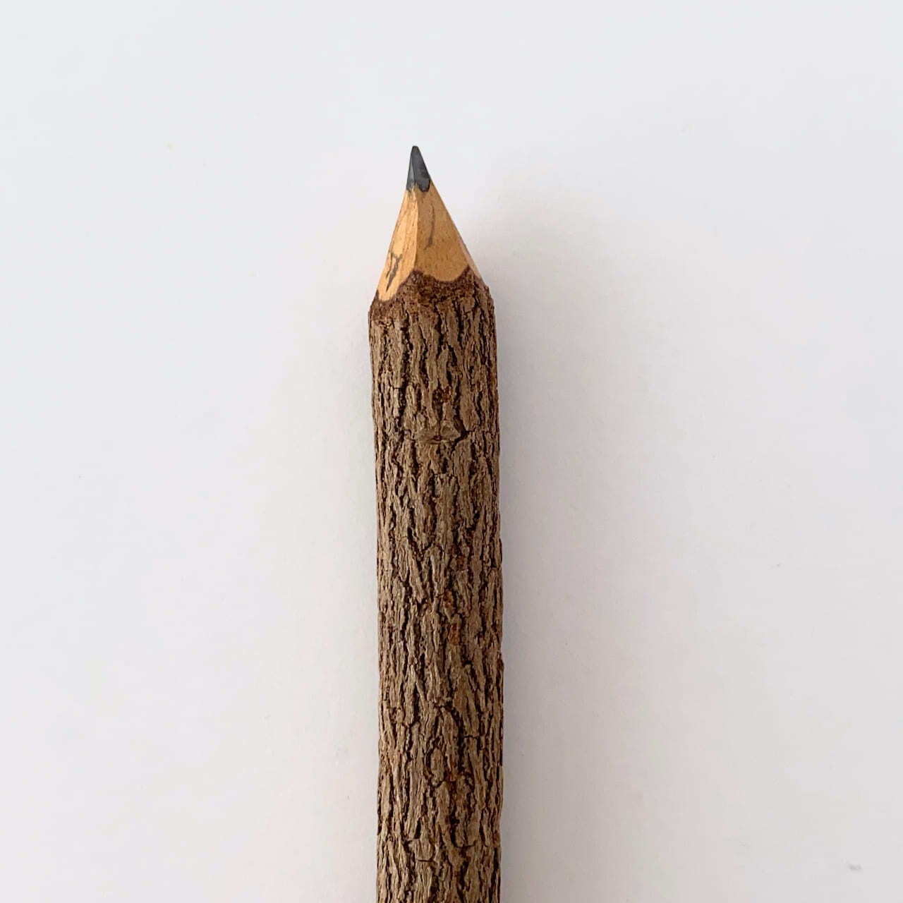 タイの鉛筆 木の枝 10本セット / Tree Branch Pencil 10 pcs | Sensitivity and Boldness