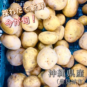 【直接受取用】沖縄県産じゃがいも（450g）中サイズ3〜4個