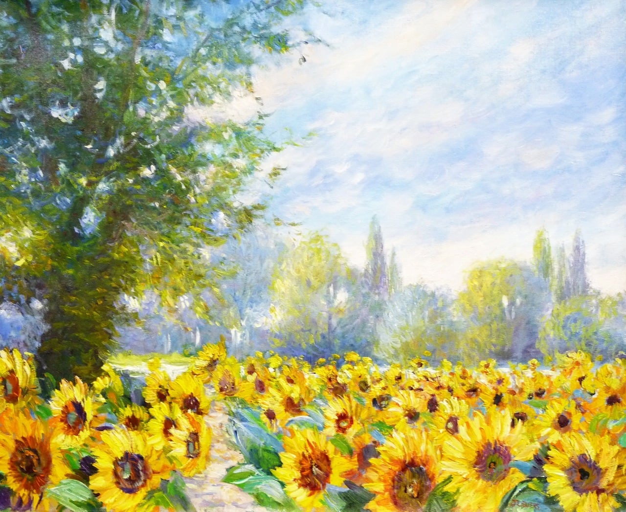 川辺への小道とヒマワリ | Footpath to the River bank, Sunflowers