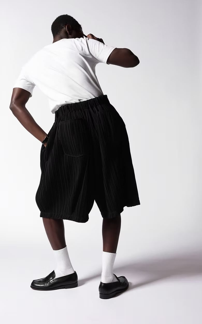 sillage pleats circular short pants | LIFEnagoya