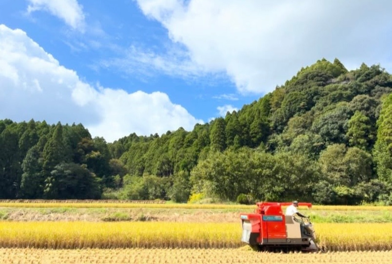 ノノタビNONOTABI 令和8年産 新米 白米5キロ