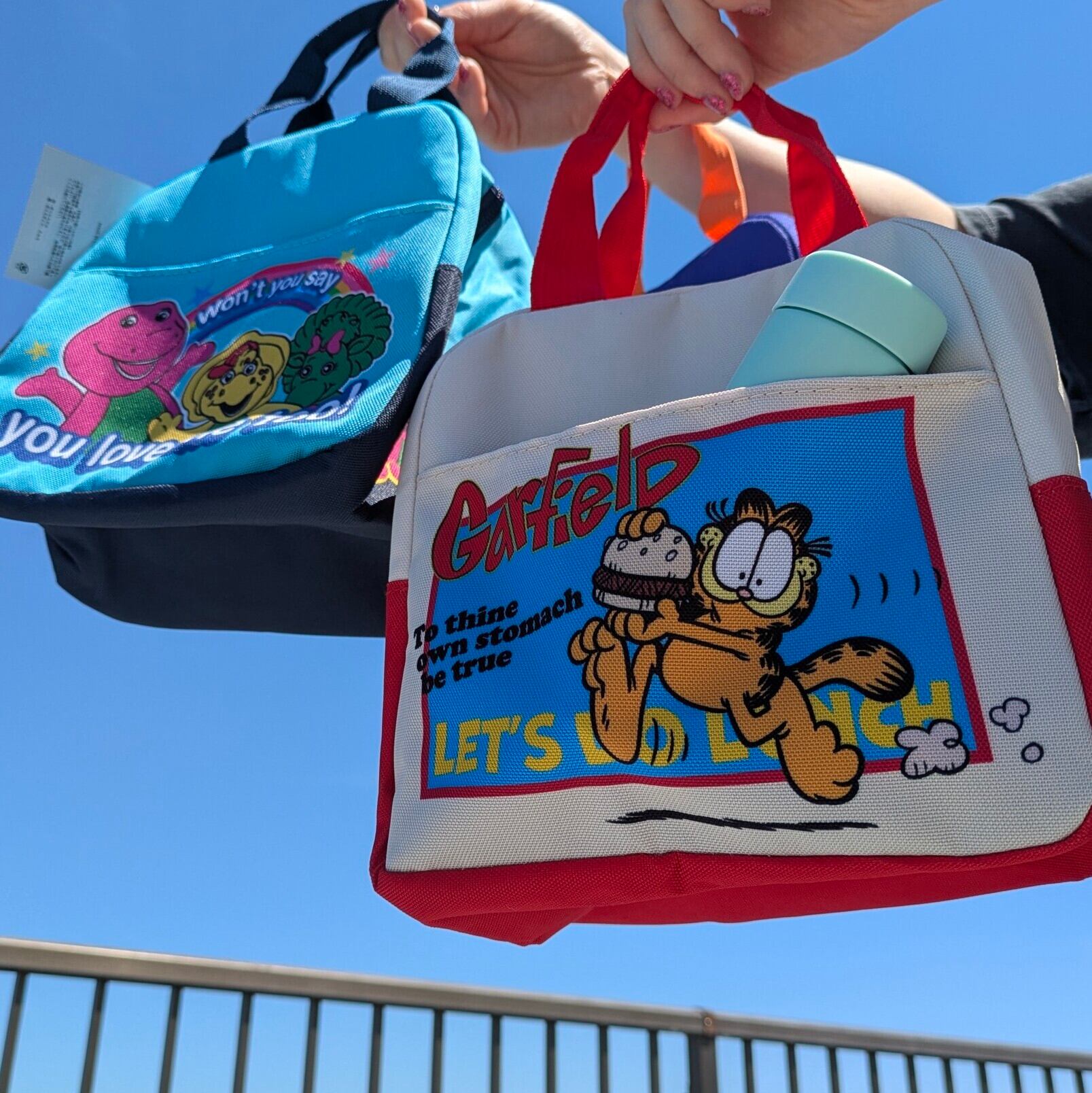 Lunch Bag / ランチバッグ 】Barney & Friends（ バーニーアンド