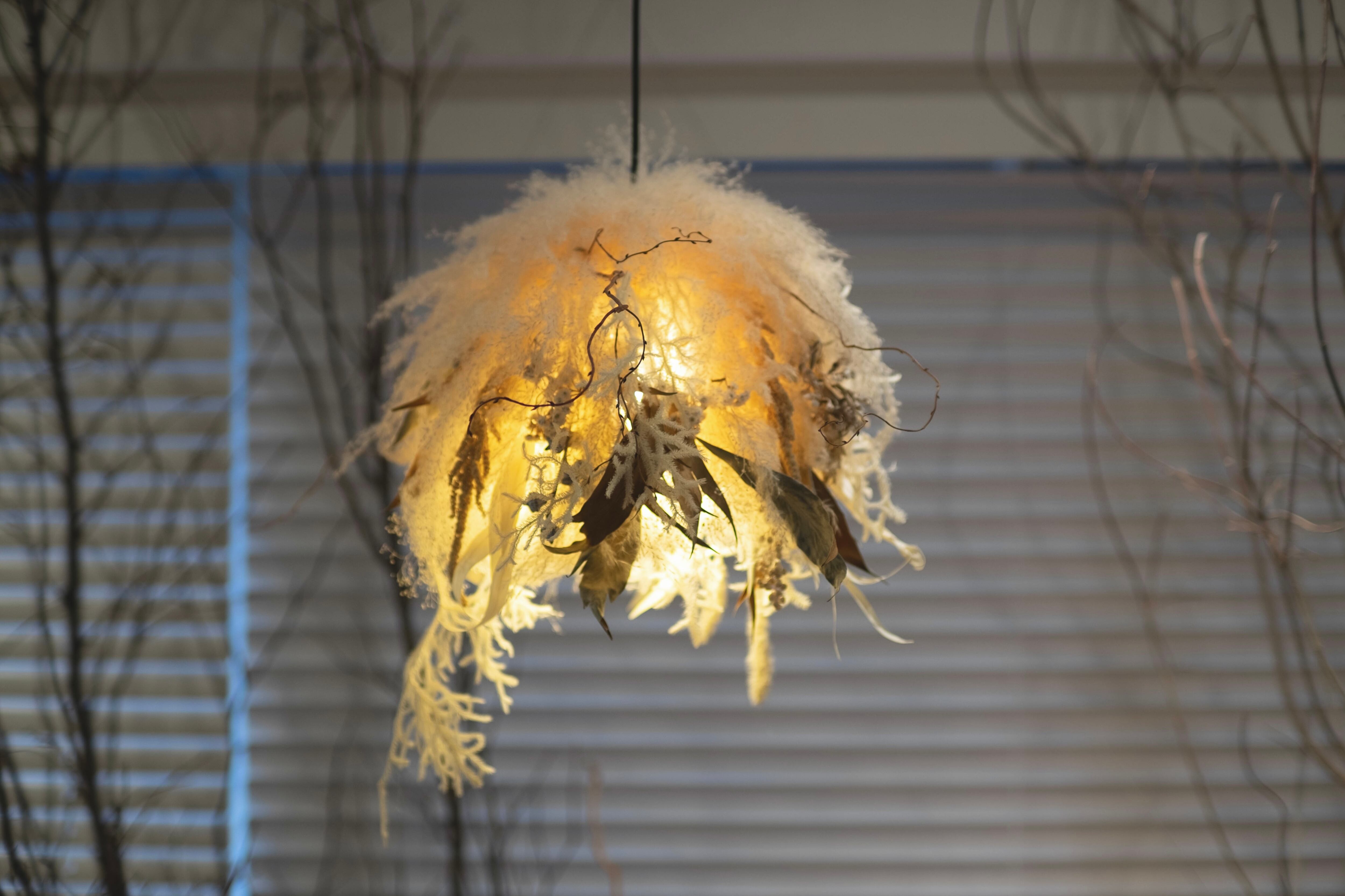 まとめ売り】ドライフラワーパンパスグラスウェディングインテリア飾り