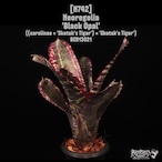 Neoregelia 'Black Opal'〔ネオレゲリア〕N742