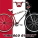CHICHAGO RIPPER 29″　SE BIKES  BMX